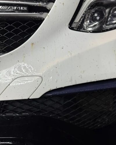 Viscura Insekten Entferner - Odstranjivač insekata 500ml_2